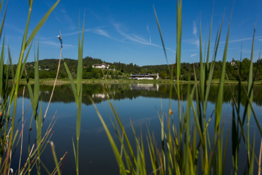 KLAGENFURT,AUSTRIA,24.MAY.19 - GOLF - GC Klagenfurt-Seltenheim, photo shooting. Photo: GEPA pictures/ Daniel Goetzhaber